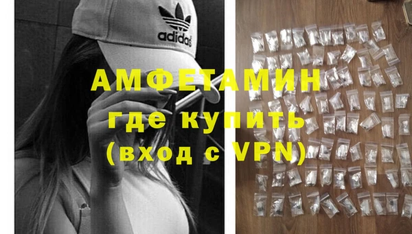 хмурый Сосновый Бор