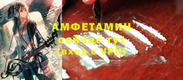хмурый Сосновый Бор