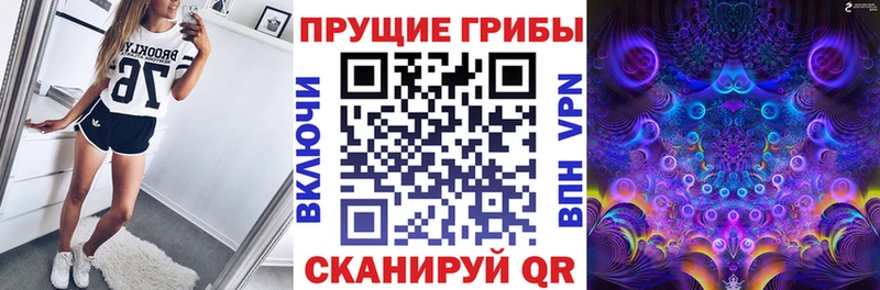 Псилоцибиновые грибы Psilocybe  omg онион  Судогда  купить наркоту 