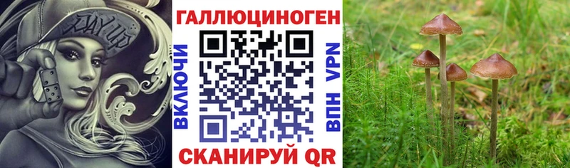 Галлюциногенные грибы мухоморы Судогда