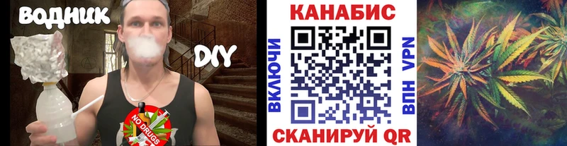 Канабис сатива Судогда